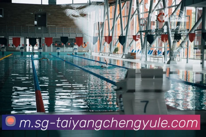 多媒体互动体验